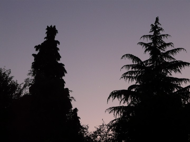 Venus am 03.06.2010