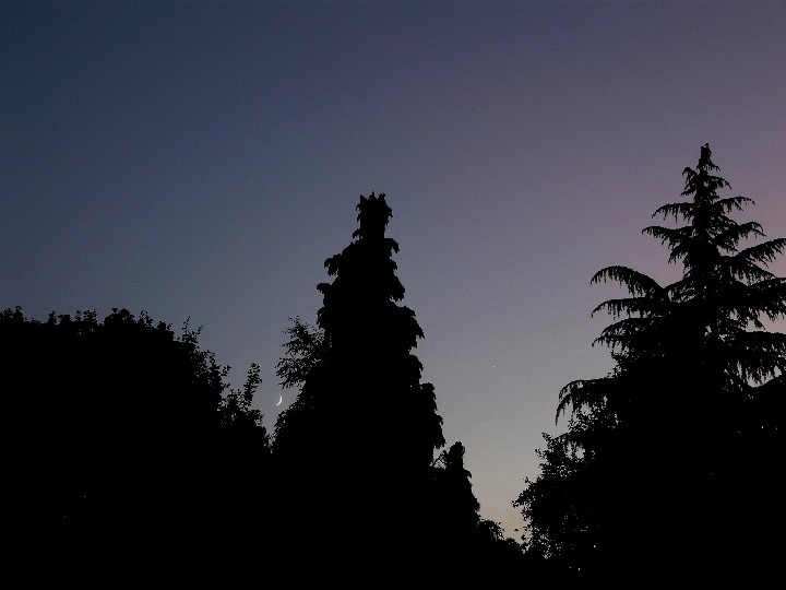 Venus am 15.06.2010