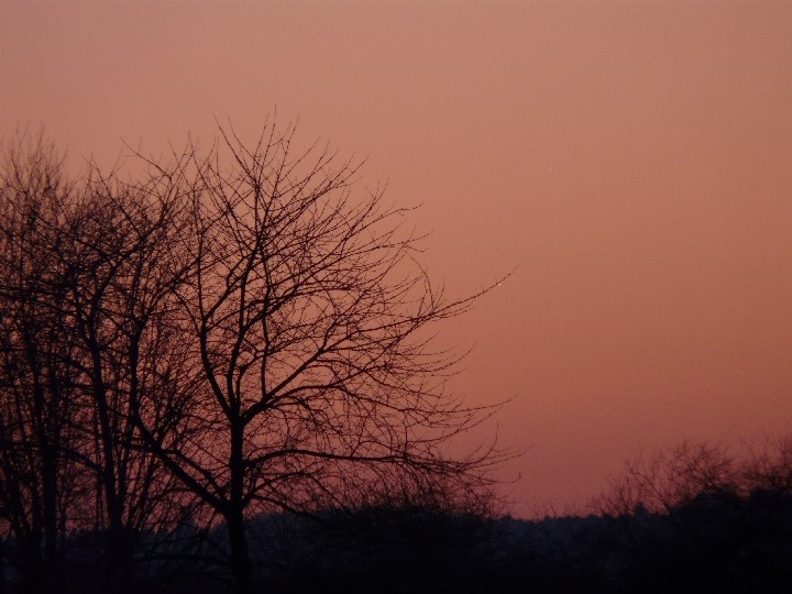 Venus und Jupiter am 16.02.2010