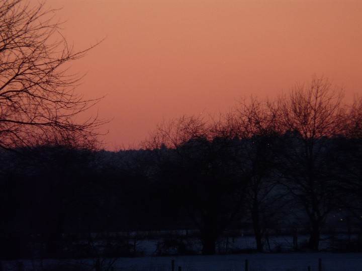 Venus und Jupiter am 16.02.2010