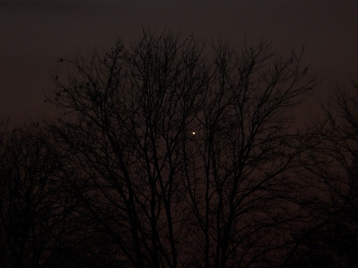 Venus am 21.03.2009