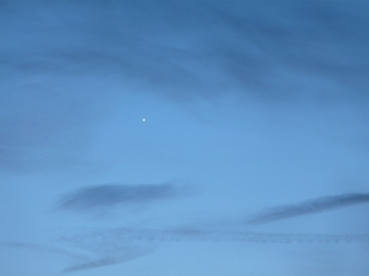 Venus und Merkur am 31.03.2010