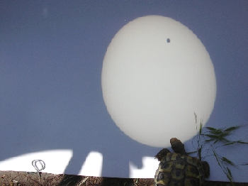 Venus Transit