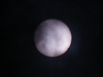 Venustransit