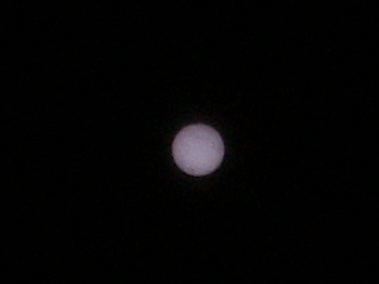 Venustransit